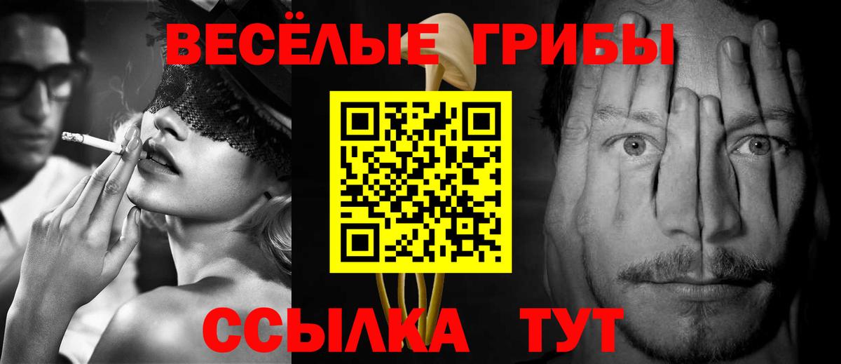 Салехард  Псилоцибиновые грибы мухоморы  Вход с VPN  Галлюциногенные грибы GOLDEN TEACHER 