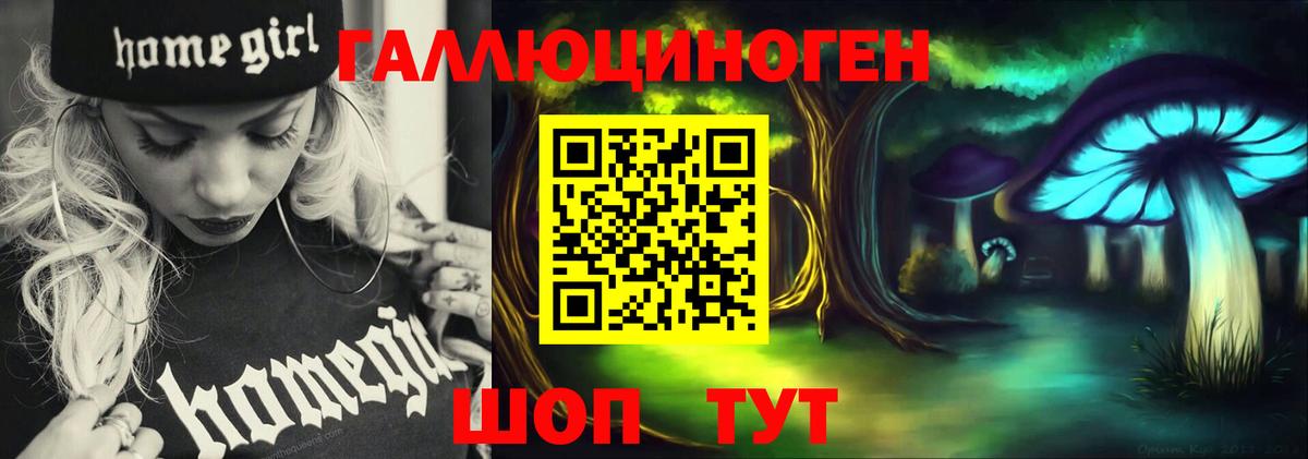 Псилоцибиновые грибы Psilocybine cubensis Салехард